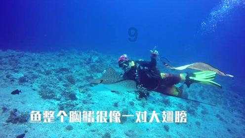 黑稠还是黑绸？游戏画面