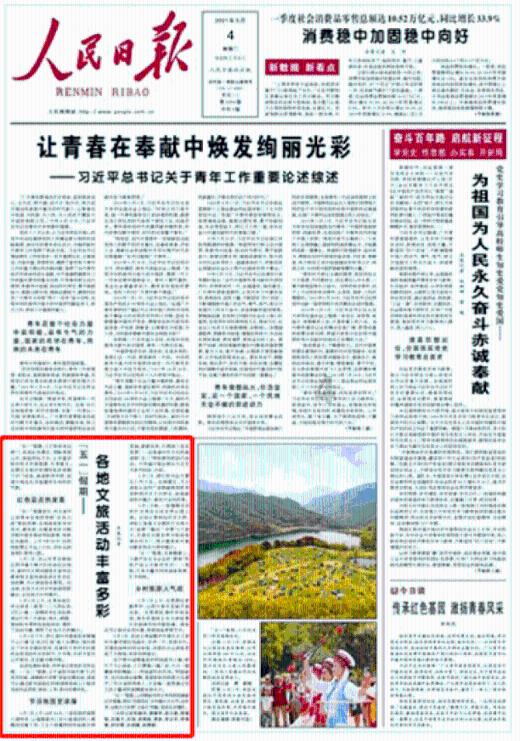 逗小猴开心系列197